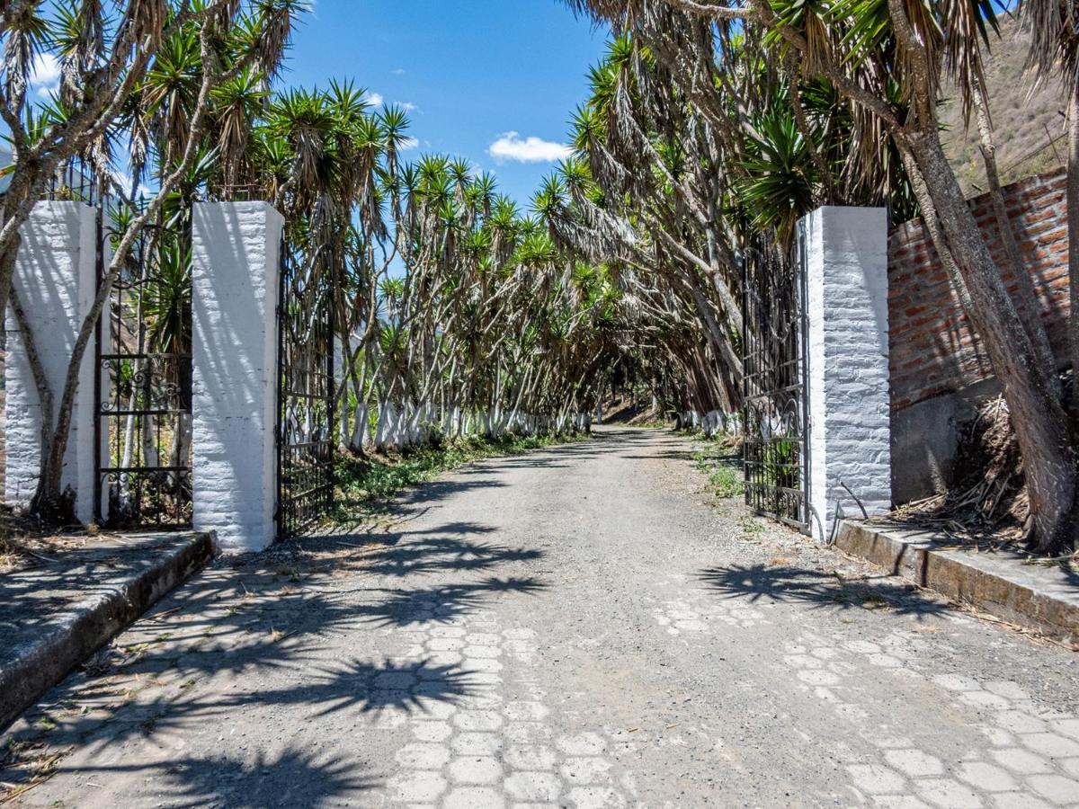 Hosteria La Eterna Primavera Huigra Bagian luar foto